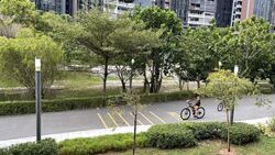 Blk 315B Waterway Cascadia (Punggol), HDB 4 Rooms #521875801